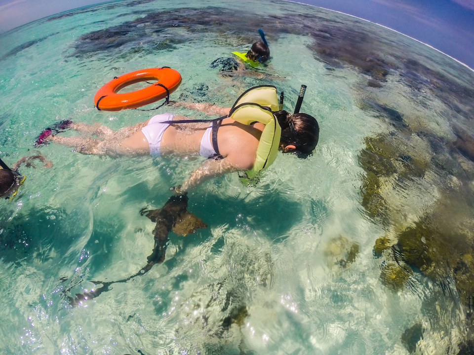 Caye Caulker Belize Barrier Reef Sharks & Rays