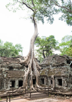 Cambodia Temples