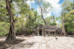 Cambodia Temples