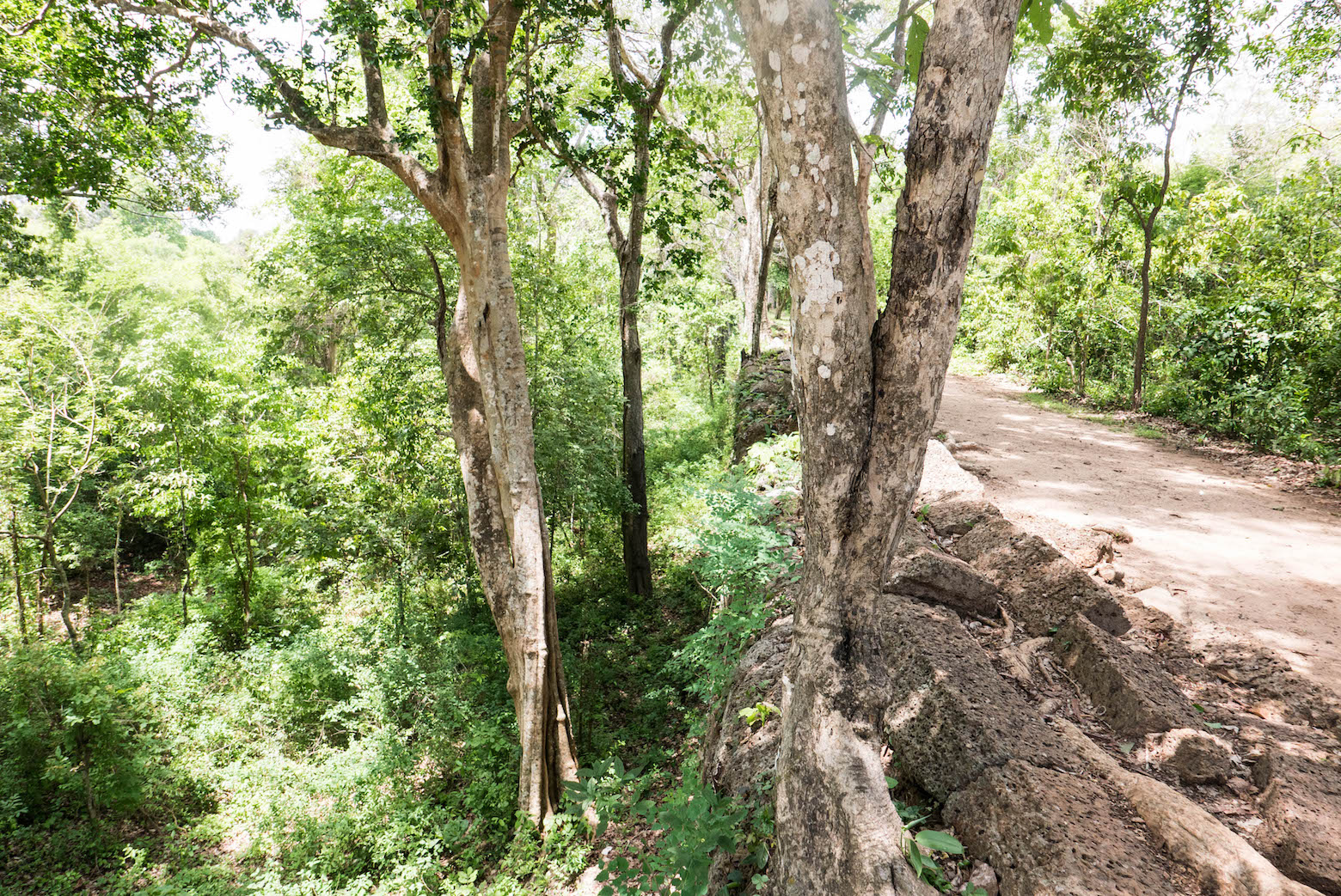 Cambodia Temples