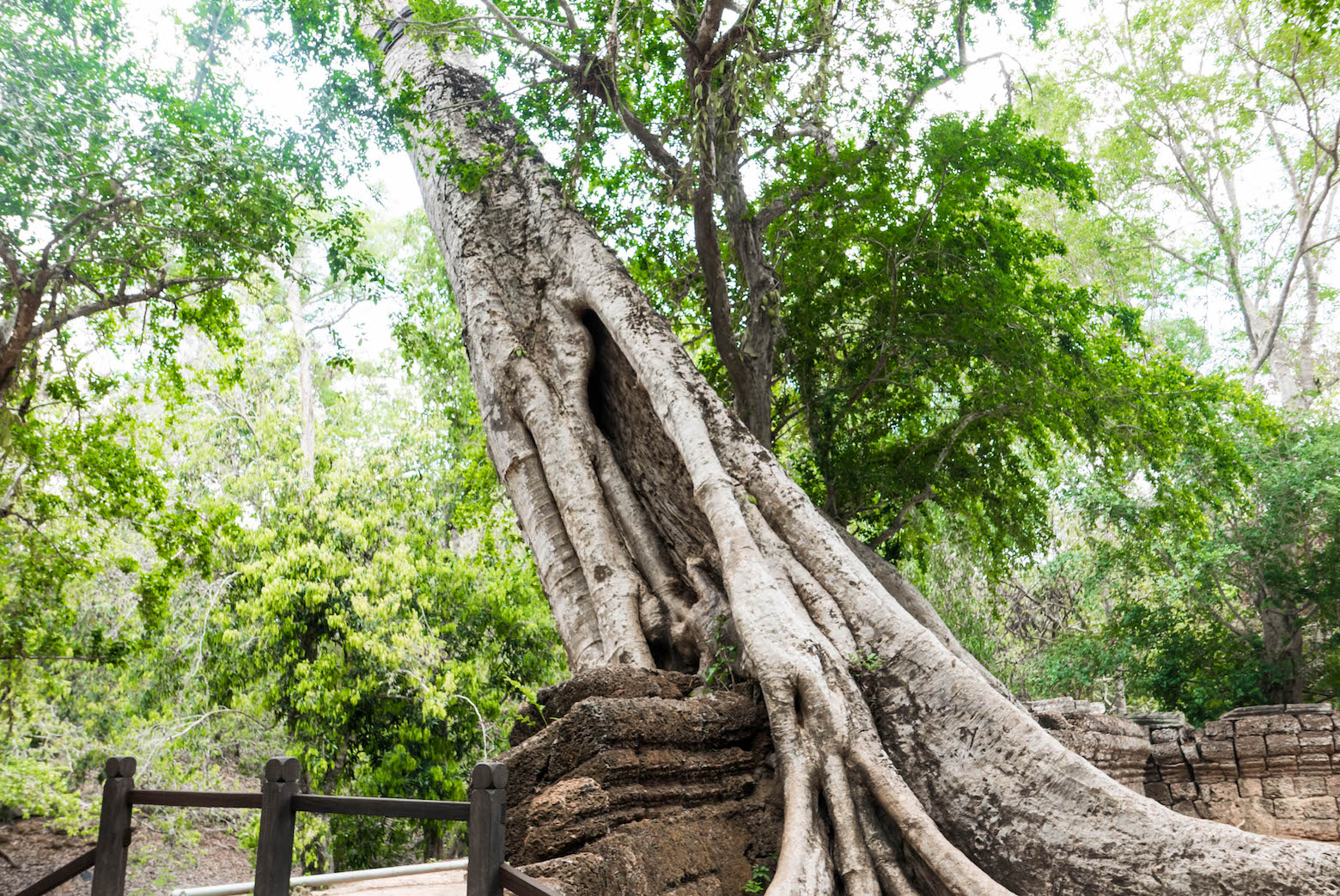 Cambodia Temples