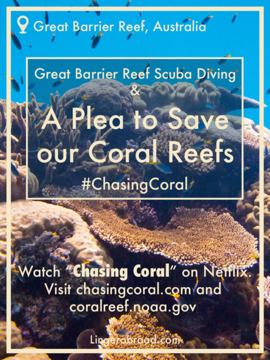 Great Barrier Reef Scuba Diving, Australia - Linger Abroad